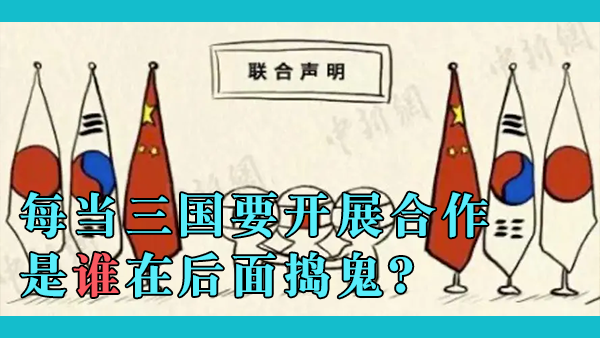 世界各地区都在走向一体化，中日韩三国未来有没有可能结成类似欧盟的联盟或者合并以提高效率？