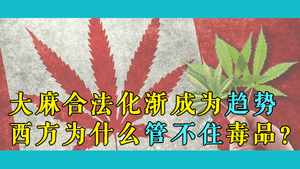 大麻合法化渐成趋势，西方社会出了什么问题？东西方对待毒品为什么会有这么大的差异？